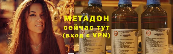 сатива Каменка