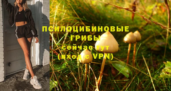 гашик Иноземцево