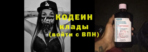 сатива Каменка
