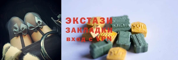 сатива Каменка