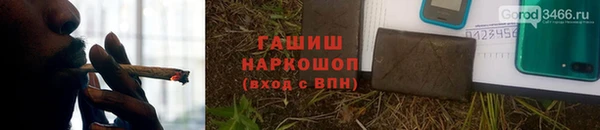 сатива Каменка