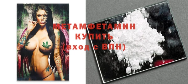 сатива Каменка