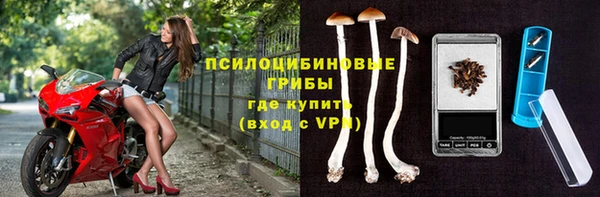 гашик Иноземцево