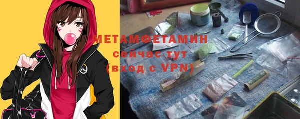сатива Каменка
