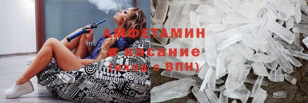сатива Каменка