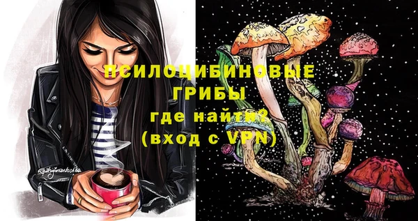 тгк Каменск-Шахтинский