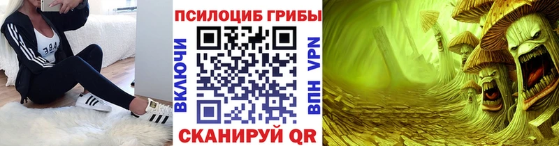 Псилоцибиновые грибы Magic Shrooms  Купить  Курчалой 