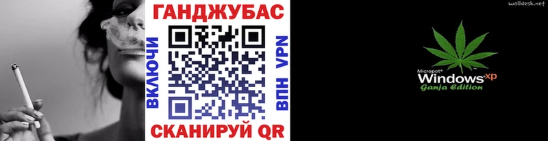 Купить  Курчалой  Канабис сатива 